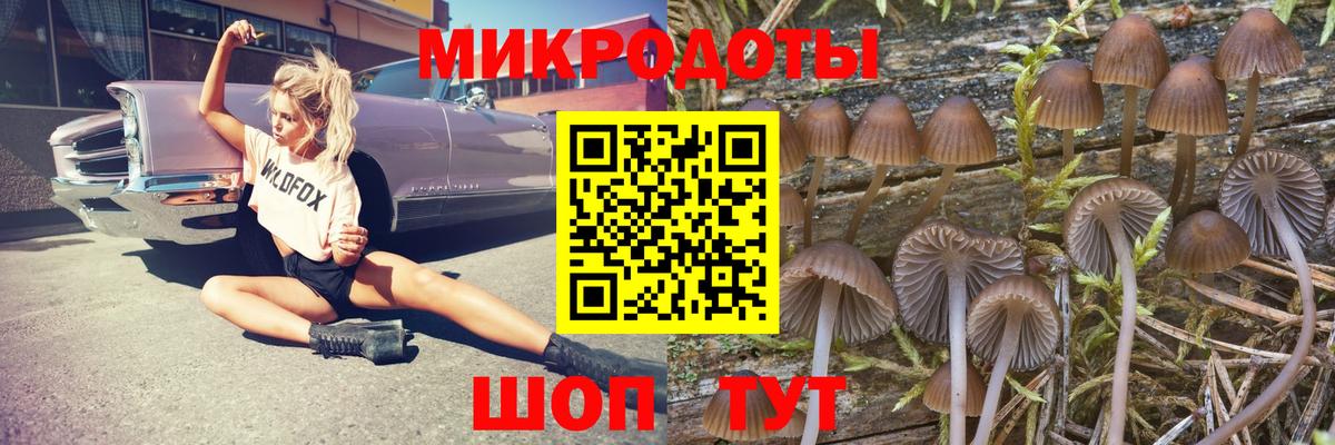 Галлюциногенные грибы Psilocybine cubensis  Вход с VPN  магазин  наркотиков  Псилоцибиновые грибы мицелий  Россошь 